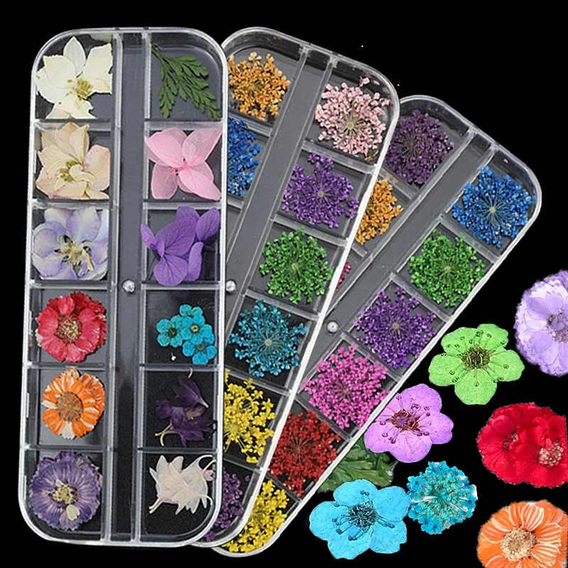 1Box Flores Secas Nail Art Decoraciones 3D Natural de Flores Secas Pegatinas de Uñas de Arte de Colorufl Flores de Diseño de Accesorios de Manicura - 0