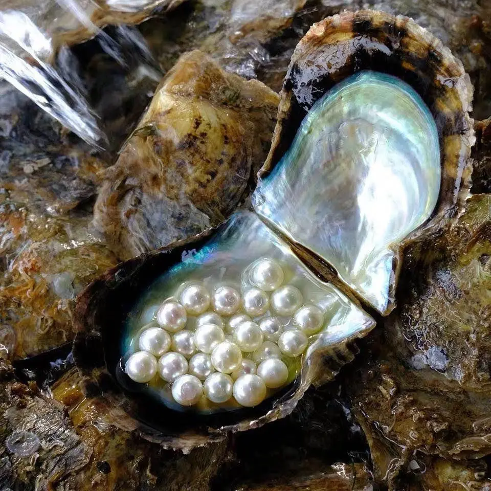 Natural de agua Dulce Collar de Perlas de la Madre de la Cadena de 9-10mm Delgada Mantou Ronda Impecable de las Mujeres del Encanto de la Celada de Mayoristas de Regalo - 5