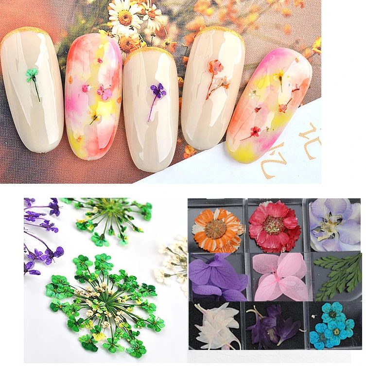 1Box Flores Secas Nail Art Decoraciones 3D Natural de Flores Secas Pegatinas de Uñas de Arte de Colorufl Flores de Diseño de Accesorios de Manicura - 5